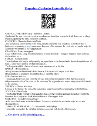 Trapezius: Clavicular Pectoralis Major
CERVICAL VERTEBRAE (7) – Trapezius (middle)
Smallest of the true vertebrae, cervical vertebrae are found just below the skull. Trapezius is a large
muscles, spanning the neck, shoulders and back.
CLAVICLE – Clavicular Pectoralis Major
Also commonly known as the collar bone, the clavicle is the only long bone in the body that is
horizontal, connecting scapula to sternum. Because of its position, the clavicular pectoralis major is
commonly referred to as the "upper chest".
CRANIUM – Trapezius (upper)
Made of flat bones, along with the mandible it forms the skull. The upper trapezius helps stabilize
the head and neck.
FEMUR – Rectus Femoris
The thigh bone, the largest and generally strongest bone in the human body. Rectus femoris is one of
four ... Show more content on Helpwriting.net ...
The longus is middle of three adductor muscles connected to the hip.
RADIUS – Brachioradialis
A long bone on the lateral side of the forearm, it is the second largest bone there.
Brachioradialis is a forearm muscle that flexes from the elbow.
RIB – Serratus Anterior
The curved, long bones that form the rib cage and protect the organs within. Serratus anterior
originates at the side of the chest on the surface of the upper ribs and inserts along the medial border
of the scapula.
SACRUM – Gluteus Maximus
Located at the base of the spine, the sacrum is a large triangular bone connecting to the tailbone.
SCAPULA – Teres Major
The shoulder blade, formed by the scapula's shape, is the bone that connects the collar bone to the
humerus. Teres major is a thick, flattened muscle of the upper limb.
STERNUM – Sternal Pectoralis Major
A flat bone also known as the breastbone. The sternal head of the pectoralis major serves as a
shoulder flexor.
THORACIC VERTEBRAE (12) – Rhomboids (underlying)
The middle segment of the vertebral column, connected with the ribs. Rhomboids,
... Get more on HelpWriting.net ...
 