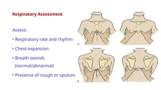 Body Systems – II & Documentation.ppt HEALTH ASSESSMENTx | PPTX