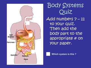 Body Systems
Quiz
Add numbers 7 – 11
to your quiz.
Then add the
body part to the
appropriate # on
your paper.
1
2
3
5
4
6 Which system is this ?
 