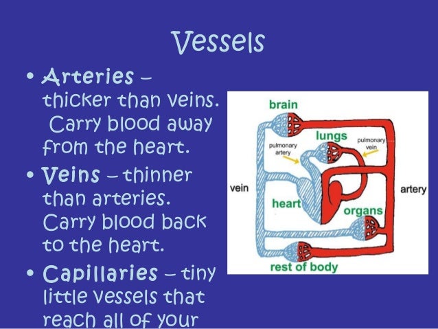 Body systems powerpoint