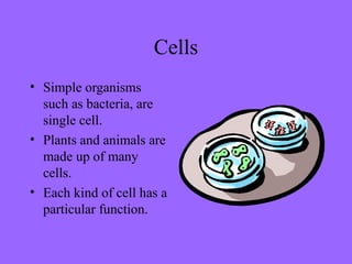 Cells
• Simple organisms
such as bacteria, are
single cell.
• Plants and animals are
made up of many
cells.
• Each kind of cell has a
particular function.
 