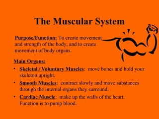 The Muscular System
Main Organs:
• Skeletal / Voluntary Muscles: move bones and hold your
skeleton upright.
• Smooth Muscles: contract slowly and move substances
through the internal organs they surround.
• Cardiac Muscle: make up the walls of the heart.
Function is to pump blood.
Purpose/Function: To create movement
and strength of the body, and to create
movement of body organs.
 