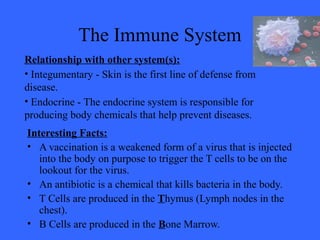 The Immune System
Interesting Facts:
• A vaccination is a weakened form of a virus that is injected
into the body on purpose to trigger the T cells to be on the
lookout for the virus.
• An antibiotic is a chemical that kills bacteria in the body.
• T Cells are produced in the Thymus (Lymph nodes in the
chest).
• B Cells are produced in the Bone Marrow.
Relationship with other system(s):
• Integumentary - Skin is the first line of defense from
disease.
• Endocrine - The endocrine system is responsible for
producing body chemicals that help prevent diseases.
 