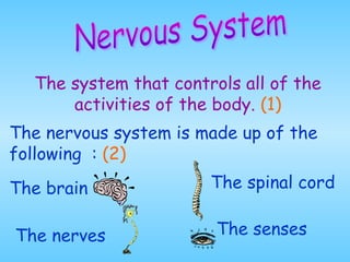 The system that controls all of the
activities of the body. (1)
The nervous system is made up of the
following : (2)
The brain The spinal cord
The sensesThe nerves
 