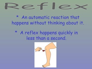 * An automatic reaction that
happens without thinking about it.
* A reflex happens quickly in
less than a second.
 
