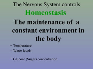 The Nervous System controls
Homeostasis
The maintenance of a
constant environment in
the body
– Temperature
– Water levels
– Glucose (Sugar) concentration
 