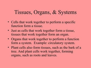 Tissues, Organs, & Systems
• Cells that work together to perform a specific
function form a tissue.
• Just as cells that work together form a tissue,
tissues that work together form an organ.
• Organs that work together to perform a function
form a system. Example: circulatory system.
• Plant cells also form tissues, such as the bark of a
tree. And plant cells work together, forming
organs, such as roots and leaves.
 