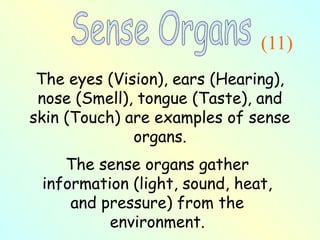 The eyes (Vision), ears (Hearing),
nose (Smell), tongue (Taste), and
skin (Touch) are examples of sense
organs.
The sense organs gather
information (light, sound, heat,
and pressure) from the
environment.
(11)
 
