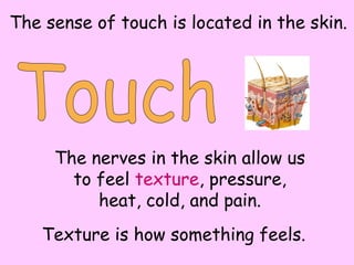 The sense of touch is located in the skin.
The nerves in the skin allow us
to feel texture, pressure,
heat, cold, and pain.
Texture is how something feels.
 