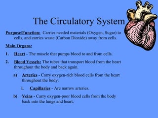 The Circulatory System
Purpose/Function: Carries needed materials (Oxygen, Sugar) to
cells, and carries waste (Carbon Dioxide) away from cells.
Main Organs:
1. Heart - The muscle that pumps blood to and from cells.
2. Blood Vessels: The tubes that transport blood from the heart
throughout the body and back again.
a) Arteries - Carry oxygen-rich blood cells from the heart
throughout the body.
i. Capillaries - Are narrow arteries.
b) Veins - Carry oxygen-poor blood cells from the body
back into the lungs and heart.
 