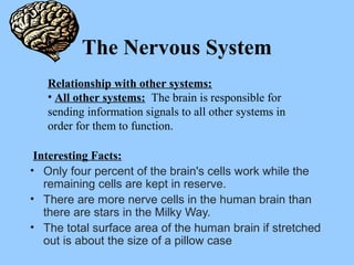The Nervous System
Interesting Facts:
• Only four percent of the brain's cells work while the
remaining cells are kept in reserve.
• There are more nerve cells in the human brain than
there are stars in the Milky Way.
• The total surface area of the human brain if stretched
out is about the size of a pillow case
Relationship with other systems:
• All other systems: The brain is responsible for
sending information signals to all other systems in
order for them to function.
 