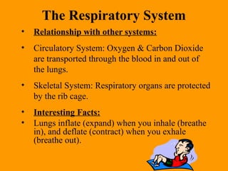 The Respiratory System
• Relationship with other systems:
• Circulatory System: Oxygen & Carbon Dioxide
are transported through the blood in and out of
the lungs.
• Skeletal System: Respiratory organs are protected
by the rib cage.
• Interesting Facts:
• Lungs inflate (expand) when you inhale (breathe
in), and deflate (contract) when you exhale
(breathe out).
 