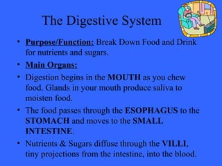 The Digestive System
• Purpose/Function: Break Down Food and Drink
for nutrients and sugars.
• Main Organs:
• Digestion begins in the MOUTH as you chew
food. Glands in your mouth produce saliva to
moisten food.
• The food passes through the ESOPHAGUS to the
STOMACH and moves to the SMALL
INTESTINE.
• Nutrients & Sugars diffuse through the VILLI,
tiny projections from the intestine, into the blood.
 