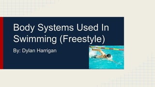 Body Systems Used In
Swimming (Freestyle)
By: Dylan Harrigan
 