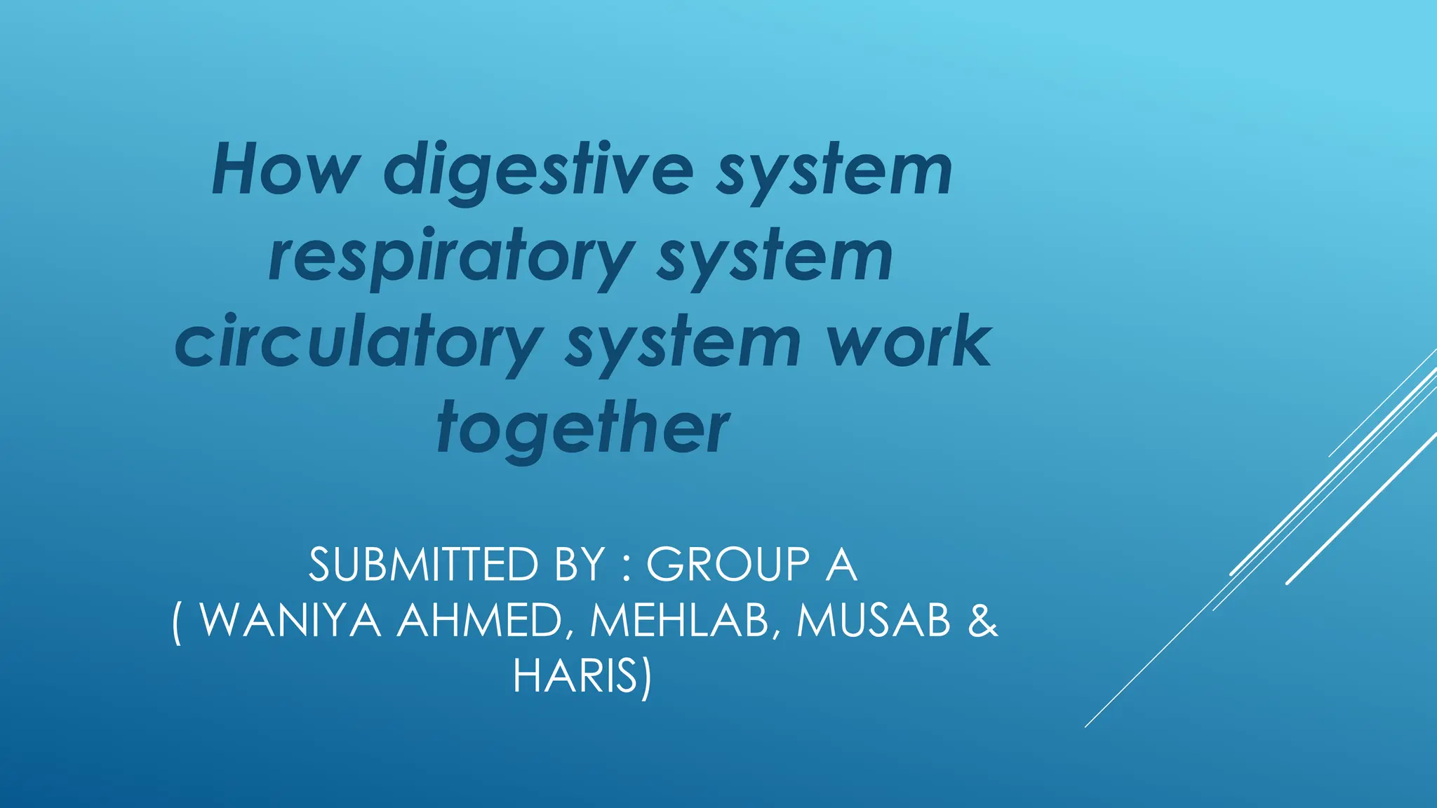 How Do The Digestive And Circulatory Systems Work Together How digestive system respiratory system circulatory system work