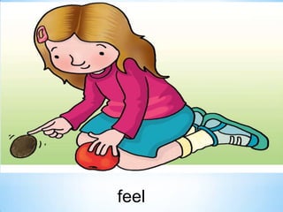 feel

 