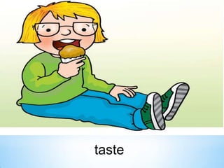 taste

 