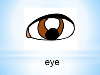 eye

 