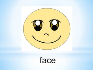 face

 