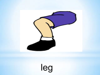 leg

 