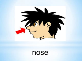 nose

 