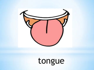 tongue

 