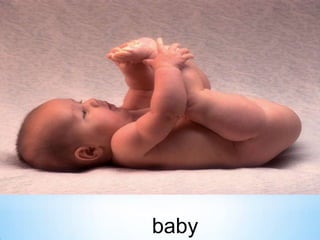 baby

 