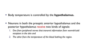 § These two types of signals are integrated by the thermoregulatory
center of the hypothalamus to maintain normal temperat...