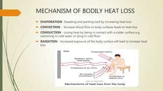 MECHANISM OF BODILY HEAT LOSS
 EVAPORATION -Sweating and panting cool by increasing heat loss
 CONVECTION - Increase blood flow to body surfaces leads to heat loss
 CONDUCTION - Losing heat by being in contact with a colder surface e.g.
swimming in cold water or lying in cold floor
 RADIATION - Increased exposure of the body surface will lead to increase heat
loss.
 