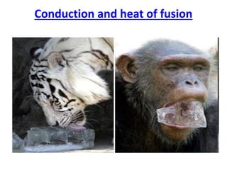 Conduction and heat of fusion
 