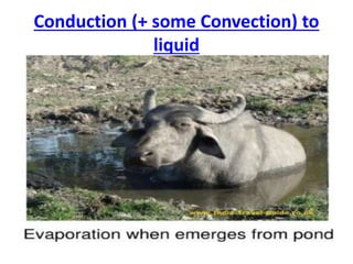 Conduction (+ some Convection) to
liquid
 