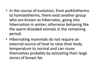 • In the course of evolution, from poikilotherms
to homoiotherms, there exist another group
who are known as hibernates, going into
hibernation in winter, otherwise behaving like
the warm-blooded animals in the remaining
period.
• Hibernating mammals do not require an
external source of heat to raise their body
temperature to normal and can rouse
themselves probably by activating their large
stores of brown fat.
 