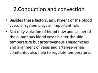 2.Conduction and convection
• Besides these factors, adjustment of the blood
vascular system plays an important role.
• Not only variation of blood flow and caliber of
the cutaneous blood vessels alter the skin
temperature but arteriovenous anastomoses
and alignment of veins and arteries-venae
comitantes also help to regulate temperature.
 