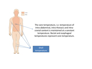 The core temperature, i.e. temperature of
intra-abdominal, intra-thoracic and intra-
cranial content is maintained at a constant
temperature. Rectal and esophageal
temperatures represent core temperature.
Shell
temperature
 