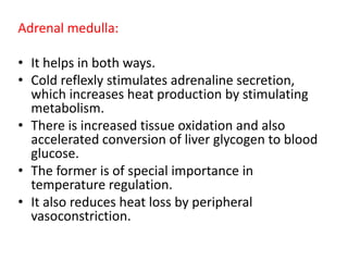 Adrenal medulla:
• It helps in both ways.
• Cold reflexly stimulates adrenaline secretion,
which increases heat production by stimulating
metabolism.
• There is increased tissue oxidation and also
accelerated conversion of liver glycogen to blood
glucose.
• The former is of special importance in
temperature regulation.
• It also reduces heat loss by peripheral
vasoconstriction.
 