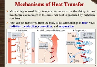 Body Temperature Control | PPTX
