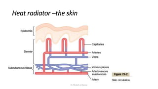Body temperature regulation | PPTX