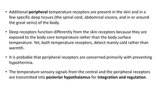 • Additional peripheral temperature receptors are present in the skin and in a
few specific deep tissues (the spinal cord, abdominal viscera, and in or around
the great veins) of the body.
• Deep receptors function differently from the skin receptors because they are
exposed to the body core temperature rather than the body surface
temperature. Yet, both temperature receptors, detect mainly cold rather than
warmth.
• It is probable that peripheral receptors are concerned primarily with preventing
hypothermia.
• The temperature sensory signals from the central and the peripheral receptors
are transmitted into posterior hypothalamus for integration and regulation.
 