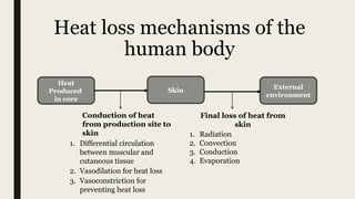 Body temperature Regulation In detail and complete. | PPTX