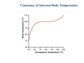 Body temperature regulation, and fever | PDF