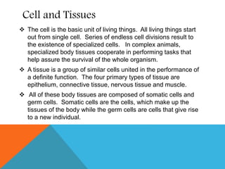 Cell and Tissues
 The cell is the basic unit of living things. All living things start
out from single cell. Series of endless cell divisions result to
the existence of specialized cells. In complex animals,
specialized body tissues cooperate in performing tasks that
help assure the survival of the whole organism.
 A tissue is a group of similar cells united in the performance of
a definite function. The four primary types of tissue are
epithelium, connective tissue, nervous tissue and muscle.
 All of these body tissues are composed of somatic cells and
germ cells. Somatic cells are the cells, which make up the
tissues of the body while the germ cells are cells that give rise
to a new individual.
 