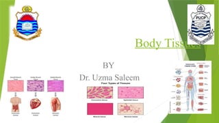 Body_Tissues fully detailed notes [1].pptx