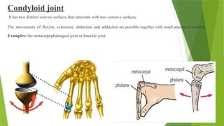 Condyloid joint
It has two distinct convex surfaces that articulate with two concave surfaces.
The movements of flexion, extension, abduction and adduction are possible together with small amount of rotation.
Examples: the metacarpophalangeal joint or knuckle joint
 