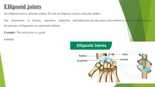 Ellipsoid joints
An elliptical convex articular surface fits into an elliptical concave articular surface.
The movements of flexion, extension, abduction and adduction can take place, but rotation is impossible because of
the presence of ligaments in a particular fashion.
Example: The wrist joint is a good
example.
 