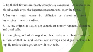 6. Epithelial tissues are nearly completely avascular. For instance no
blood vessels cross the basement membrane to enter the tissue.
7. Nutrients must come by diffusion or absorption from
underlying tissues or surface.
8. Many epithelial tissues are capable of rapidly replacing damaged
and dead cells.
9. Sloughing off of damaged or dead cells is a characteristic of
surface epithelium and allows our airways and digestive tracts to
rapidly replace damaged cells with new cells.
 