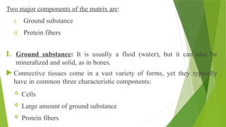 Two major components of the matrix are:
I. Ground substance
II. Protein fibers
I. Ground substance: It is usually a fluid (water), but it can also be
mineralized and solid, as in bones.
 Connective tissues come in a vast variety of forms, yet they typically
have in common three characteristic components:
 Cells
 Large amount of ground substance
 Protein fibers
 