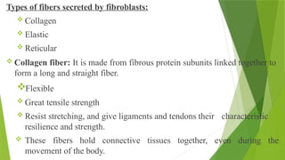 Types of fibers secreted by fibroblasts:
 Collagen
 Elastic
 Reticular
 Collagen fiber: It is made from fibrous protein subunits linked together to
form a long and straight fiber.
Flexible
 Great tensile strength
 Resist stretching, and give ligaments and tendons their characteristic
resilience and strength.
 These fibers hold connective tissues together, even during the
movement of the body.
 