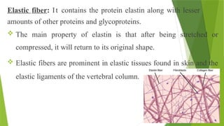 Elastic fiber: It contains the protein elastin along with lesser
amounts of other proteins and glycoproteins.
 The main property of elastin is that after being stretched or
compressed, it will return to its original shape.
 Elastic fibers are prominent in elastic tissues found in skin and the
elastic ligaments of the vertebral column.
 