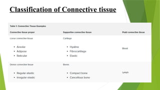 Classification of Connective tissue
 