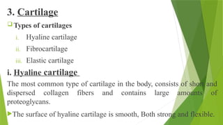 3. Cartilage
 Types of cartilages
i. Hyaline cartilage
ii. Fibrocartilage
iii. Elastic cartilage
i. Hyaline cartilage
The most common type of cartilage in the body, consists of short and
dispersed collagen fibers and contains large amounts of
proteoglycans.
The surface of hyaline cartilage is smooth, Both strong and flexible.
 
